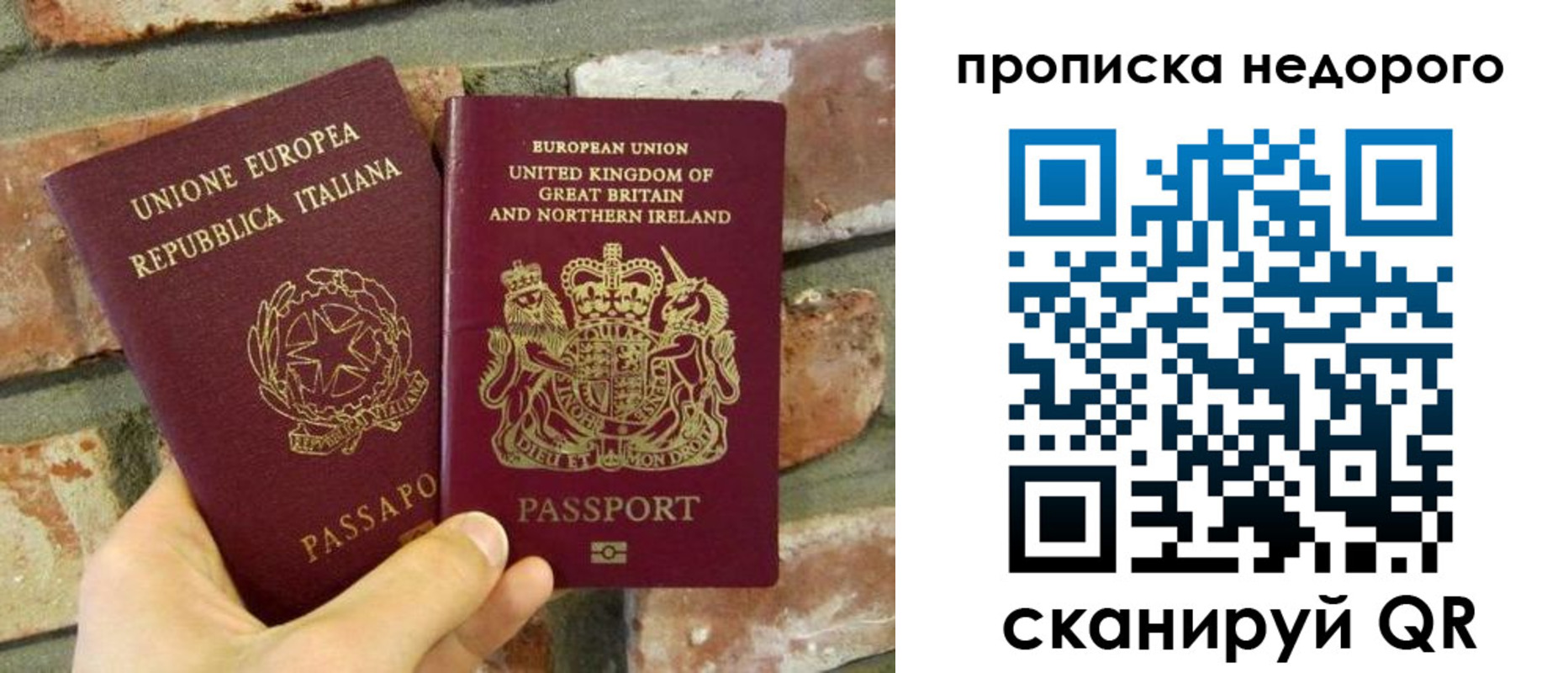 прописка поиск в Зее